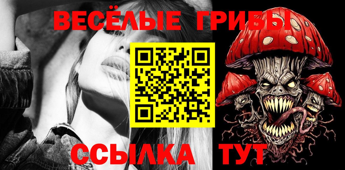 Галлюциногенные грибы GOLDEN TEACHER  Вход с VPN  Ржев 