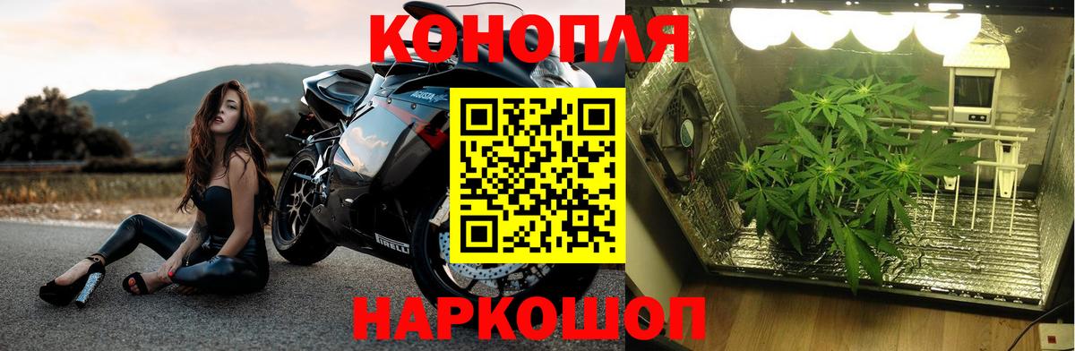 Шишки марихуана THC 21% Ржев